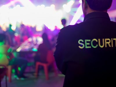 Hornet VIP Security – Security solutions designed to protect people